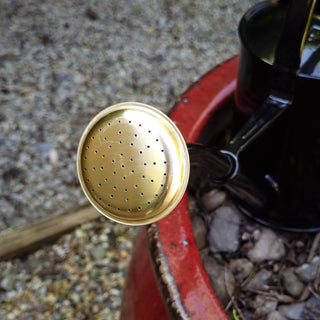 Black Watering Can with Gold SprinklerOriana BOutdoor