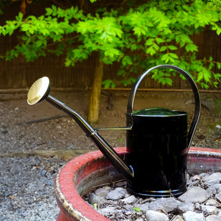 Black Watering Can with Gold SprinklerOriana BOutdoor