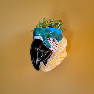 Blue Macaw Head | Wall SconceOriana BHomewares