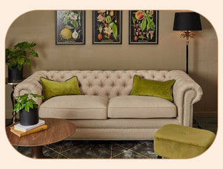 Everything You Need to Know About Sofas