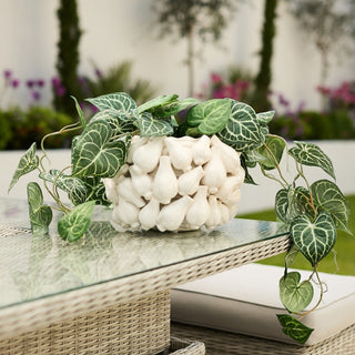 Plant Pots