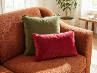 Velvet Cushions