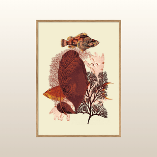 Red Algae Print | 50x70