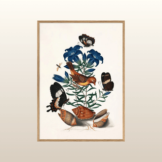 Yellow Bird & Butterflies Print | 50x70