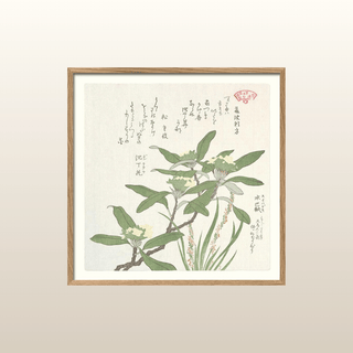 Green Plant Print | 61x61
