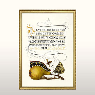Caterpillar Print | Gold Frame | 2 Sizes Available in Homewares from Oriana B www.orianab.com