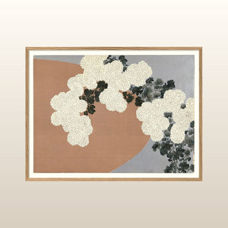 Chrysanthemum Print | 50x70 in Homewares from Oriana B www.orianab.com