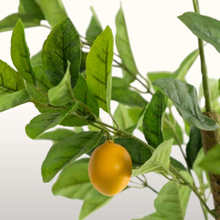 Faux Potted Lemon Tree in Homewares from Oriana B www.orianab.com