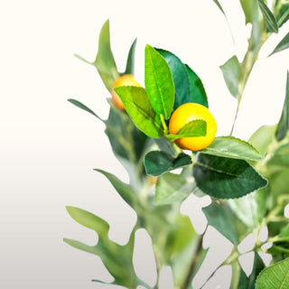 Faux Potted Orange Tree in Homewares from Oriana B www.orianab.com