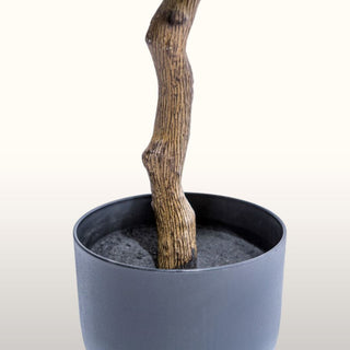 Faux Potted Orange Tree in Homewares from Oriana B www.orianab.com