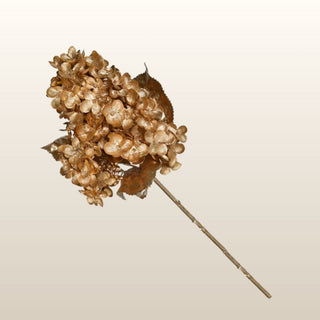 Gold Cone Hydrangea Stem in Christmas from Oriana B www.orianab.com