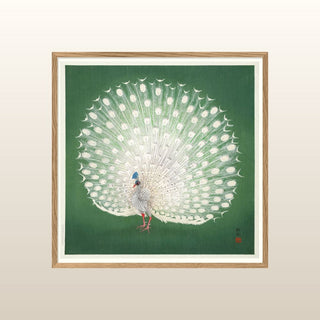 Green Peacock Print | 61x61 in Homewares from Oriana B www.orianab.com