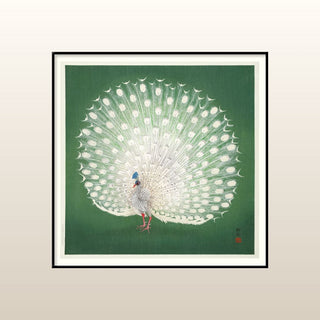 Green Peacock Print | 61x61 in Homewares from Oriana B www.orianab.com