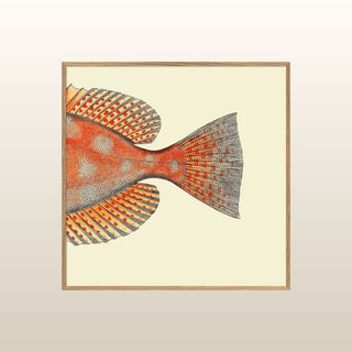 Half Spotted Fish Tail Print | 61x61 in Homewares from Oriana B www.orianab.com