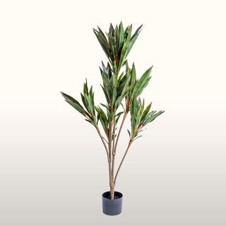 Large Faux Potted Red Edged Dracaena in Homewares from Oriana B www.orianab.com