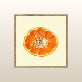Mandarin | Oak Frame | 61x61 in Homewares from Oriana B www.orianab.com