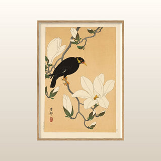 Myna Bird on Magnolia Branch Print | 50x70 in Homewares from Oriana B www.orianab.com