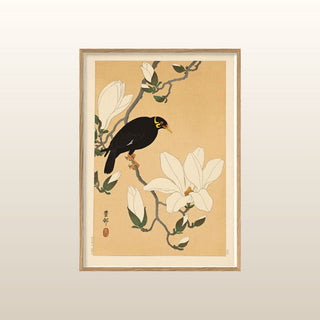 Myna Bird on Magnolia Branch Print | 50x70 in Homewares from Oriana B www.orianab.com