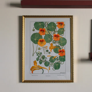 Nasturtium Print with Gold Frame | 40x30 in Homewares from Oriana B www.orianab.com