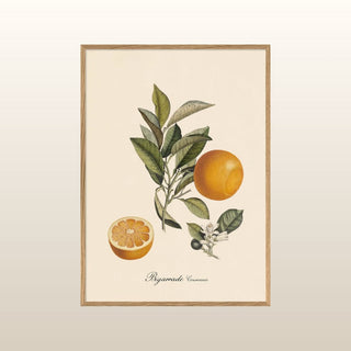 Orange with Leaves Print | 2 Sizes Available in Homewares from Oriana B www.orianab.com