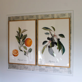 Orange with Leaves Print | 2 Sizes Available in Homewares from Oriana B www.orianab.com