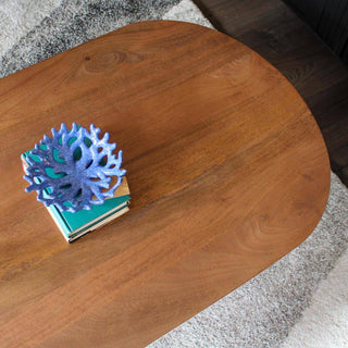 Oval Warm Wood Coffee Table in Furniture from Oriana B www.orianab.com