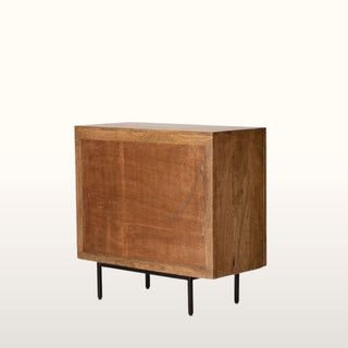 Panel Effect 2 Door Mango Wood Cabinet in Furniture from Oriana B. www.orianab.com
