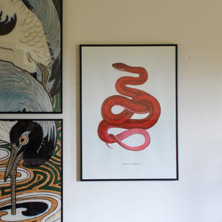 Pink & Red Snake Print | 70x50 in Homewares from Oriana B www.orianab.com