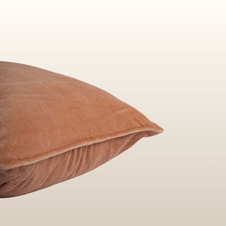 Pippa Velvet Cushion | Pale Rose | 40x60 in Homewares from Oriana B www.orianab.com