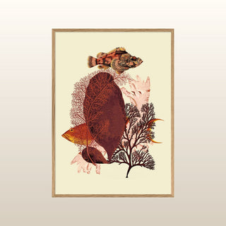 Red Algae Print | 50x70 in Homewares from Oriana B www.orianab.com