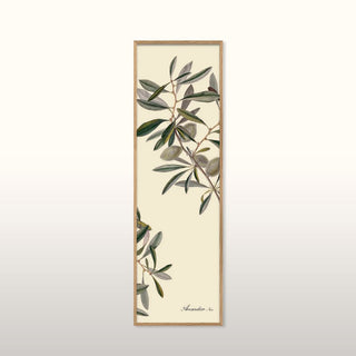 Tall Almonds Print | 112x35 in Homewares from Oriana B www.orianab.com