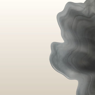 Translucent Shadow Glass Decorative Plate in Homewares from Oriana B www.orianab.com