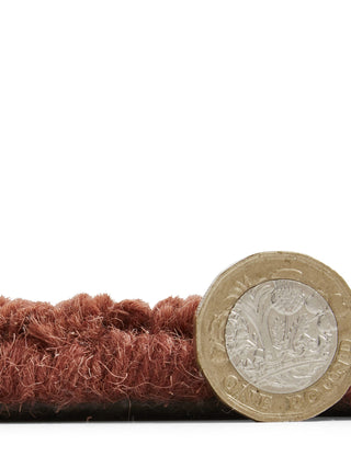 Windsor Border | Wool Rug | Terracotta in Homewares from Oriana B www.orianab.com