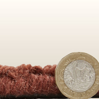 Windsor Border | Wool Rug | Terracotta in Homewares from Oriana B www.orianab.com