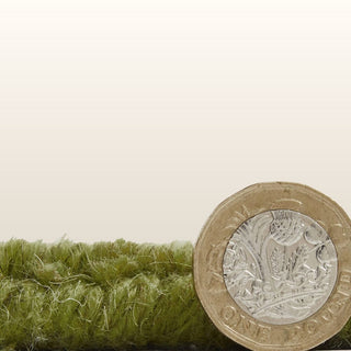 Windsor Green | Wool Rug in Homewares from Oriana B www.orianab.com
