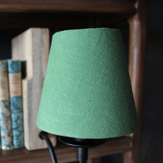 Wooden Bookshelf Lamp with Green Shade in Lighting from Oriana B www.orianab.com