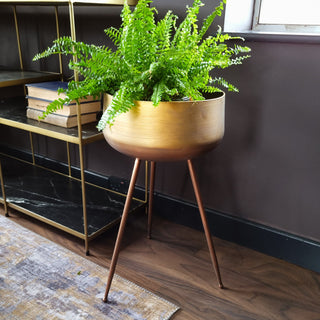 Antique Gold Plant Pot on Stand in Archived from Oriana B www.orianab.com