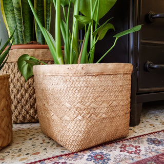 Braided Plant Pot | Medium in Archived from Oriana B www.orianab.com
