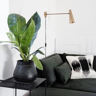 Brass Cone Wall Lamp in Archived from Oriana B www.orianab.com