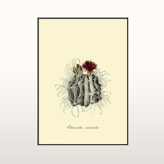 Cactus Print | 40x30 in Homewares from Oriana B www.orianab.com