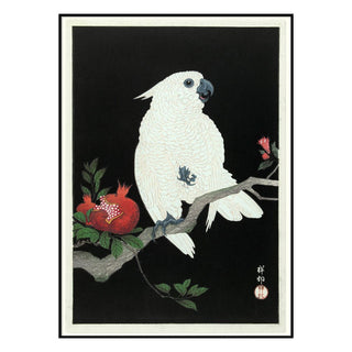Cockatoo & Pomegranate Print | 2 Sizes Available in Homewares from Oriana B www.orianab.com