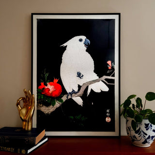 Cockatoo & Pomegranate Print | 2 Sizes Available in Homewares from Oriana B www.orianab.com