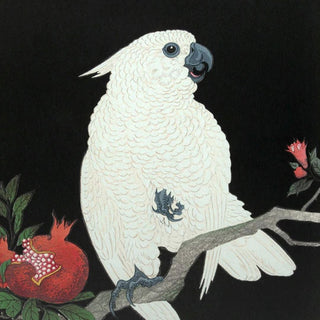 Cockatoo & Pomegranate Print | 2 Sizes Available in Homewares from Oriana B www.orianab.com