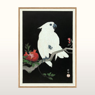 Cockatoo & Pomegranate Print | 2 Sizes Available in Homewares from Oriana B www.orianab.com