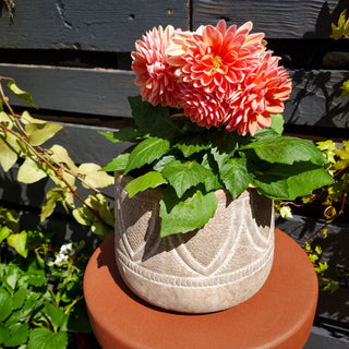 Deco Plant Pot in Archived from Oriana B www.orianab.com