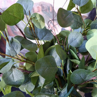Faux Plant | Eucalyptus Branch | GreenOriana BHomewares