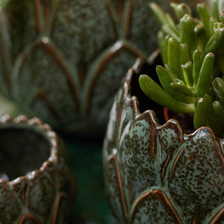 Green Leaf Plant Pots | Set of 3Oriana BHomewares