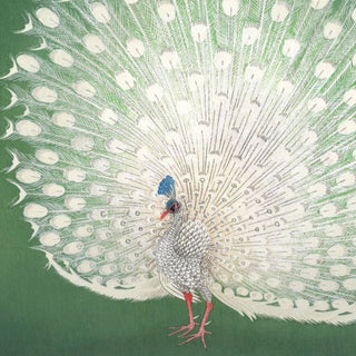 Green Peacock Print | 61x61 in Homewares from Oriana B www.orianab.com