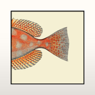 Half Spotted Fish Tail Print | 61x61 in Homewares from Oriana B www.orianab.com