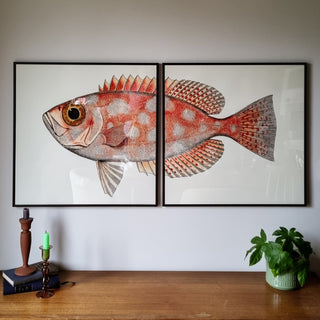 Half Spotted Fish Tail Print | 61x61 in Homewares from Oriana B www.orianab.com